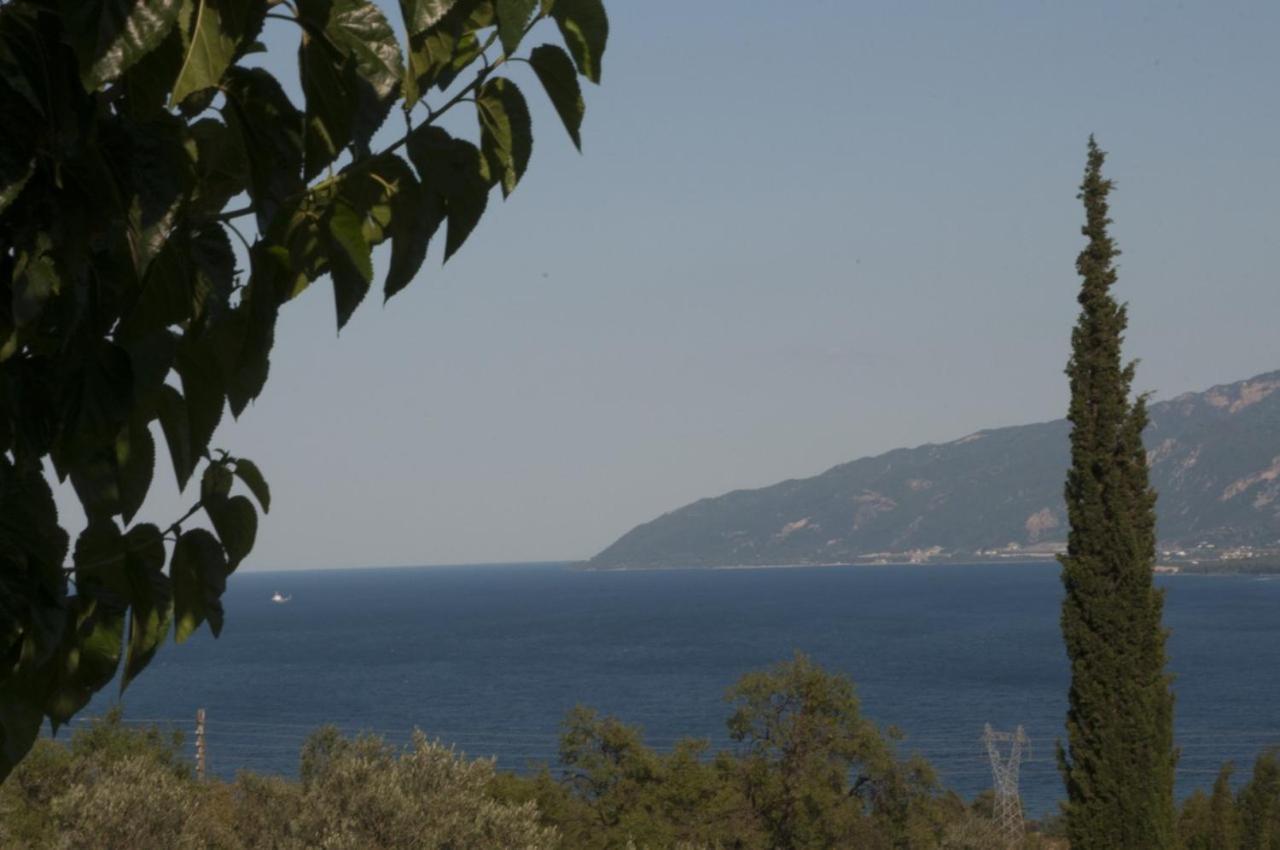 Villa Anna Ναύπακτος Εξωτερικό φωτογραφία