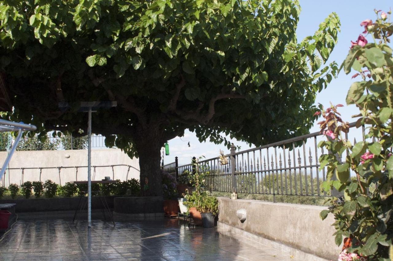 Villa Anna Ναύπακτος Εξωτερικό φωτογραφία