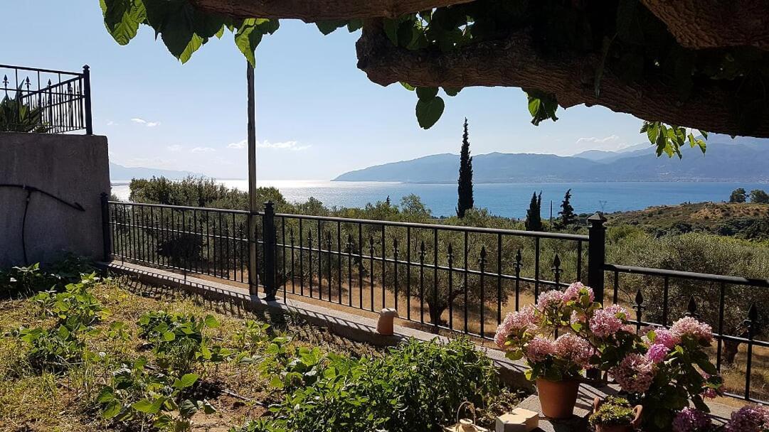 Villa Anna Ναύπακτος Εξωτερικό φωτογραφία